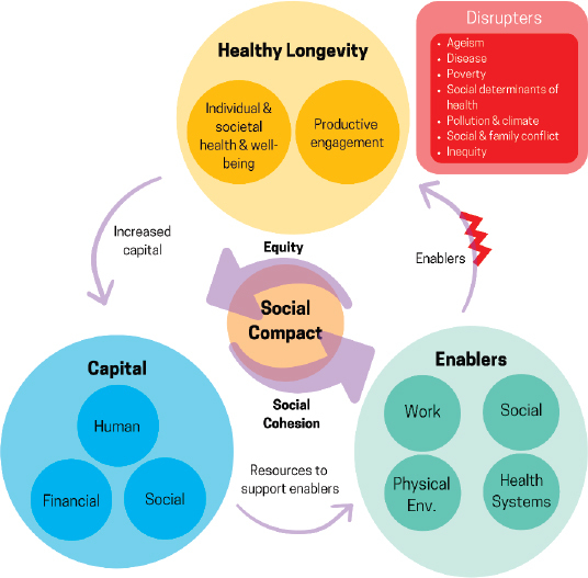 FIGURE 1-4. The virtuous cycle of healthy longevity.