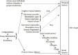 A figure describing pathways of how minoritized individuals may respond to racial bias. Loosely grouped into three primary paths: exiting the field, implementing strategies to fit in (passing), or mobilizing to transform the environment. The path of exiting is associated with: movement possible, boundaries vague, system legitimate, and system secure. The path of passing is associated with: movement impossible, boundaries sharp, system illegitimate, and systems insecure. The path of mobilizing is associated with voice, minority creation, reevaluate, compete, and create.