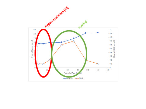 Figure 3. . Glucose and beta-hydroxybutyrate levels in healthy term newborns over the first 96 hours of life demonstrating the period of transitional hyperinsulinism during adaptation to extrauterine life followed by the period of hyperketotic euglycemic/hypoglycemic phase of starvation until breast milk has come in and the neonate has adequate caloric intake.