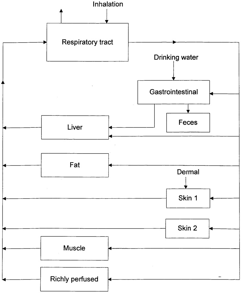 Figure 2-9, PBPK Model for 2-Butoxyethanol Disposition in Rats ...