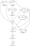 Figure 2-7. Metabolic Pathway for tri-ortho-Cresyl Phosphate (TOCP).