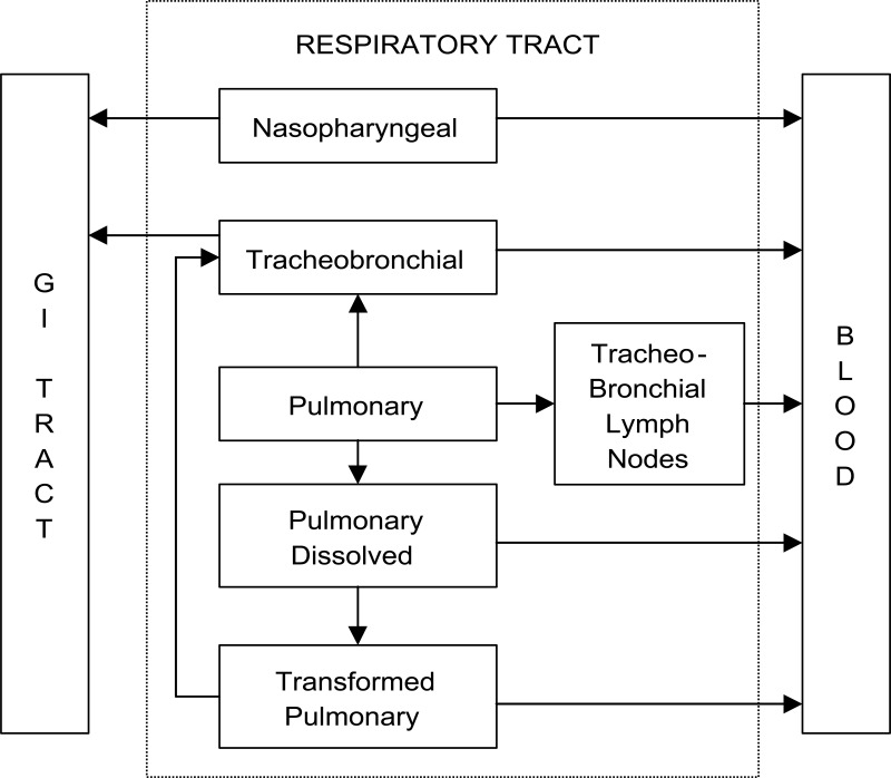 Figure 3-6, Mewhinney and Griffith (1983) Model of Deposition and ...