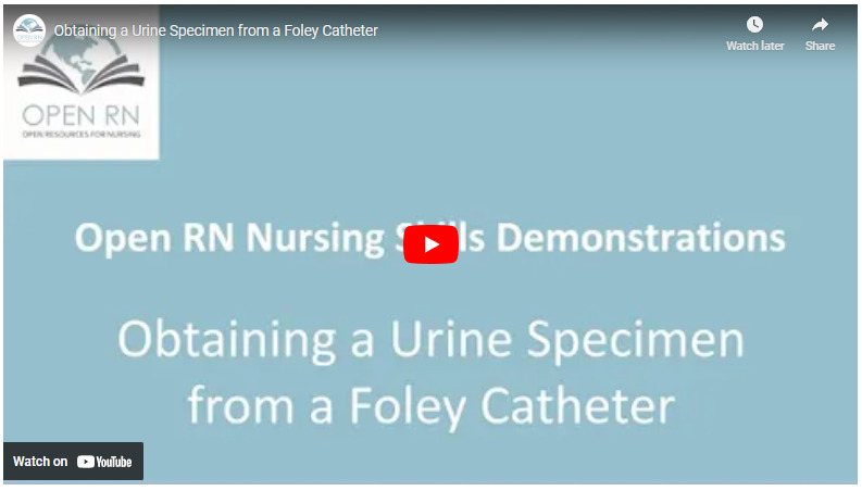 Effects of Urinary Catheter Clamping After Cesarean Section on Urinary  Retention and Urinary Tract Infection