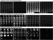 Fig. 16. Representation of a selection of feature maps (outputs of 4 filters on 10 for each layer) obtained for a single individual.