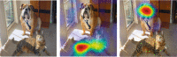 Fig. 8. Grad-CAM explanations highlighting two different objects in an image.