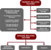 Figure 1. Factors contributing to infection risk in TDT.