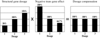 Figure 2. Dosage compensation.