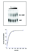 Figure 6. Left: Thin-layer chromatographic separation of substrate and product for the misaminoacylation of tRNAGln with glutamate by E.