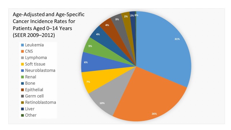 Unusual Cancers of Childhood Treatment (PDQ®) - PDQ Cancer Information  Summaries - NCBI Bookshelf