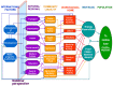 Figure 2. Societal policies and processes influencing the population prevalence of obesity.