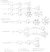 Figure 50-2. Virus-host cell interactions.