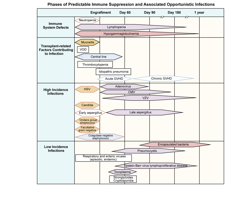 Guidelines for Preventing Opportunistic Infections Among Hematopoietic Stem  Cell Transplant Recipients