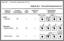 Table 46-1. Virus-Cell Interactions In Vivo.