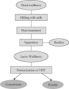 FIGURE 14.6. Flow diagram of the Nestlé Lacto-Wolfberry process.