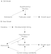 FIGURE 9-2. Causal relationship of adrenarche and pubertal maturation.