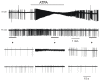 Figure 3. Dual actions of kainate: The GluR5 agonist ATPA excites interneurons thereby inhibiting the pyramidal neurons.