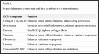 Table 1. . Extracellular matrix components and their contribution to chemoresistance.