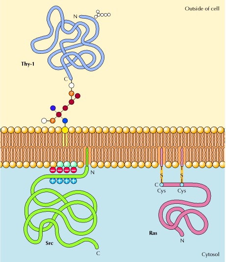 https://www.ncbi.nlm.nih.gov/books/NBK9898/bin/ch12f10.jpg