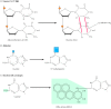 Figure 5.20. Examples of DNA damage induced by radiation and chemicals.