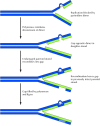 Figure 5.27. Postreplication repair.