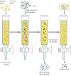 Figure 6.25. Purification of Sp1 by DNA-affinity chromatography.