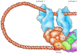 Figure 6.29. Synergistic action of transcriptional activators.