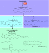 Figure 13.8. Synthesis and structure of eicosanoids.