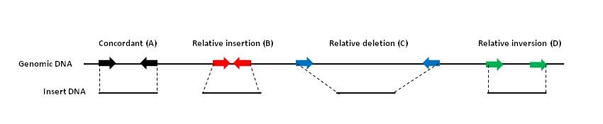Figure 3: Paired-end mapping (PEM)