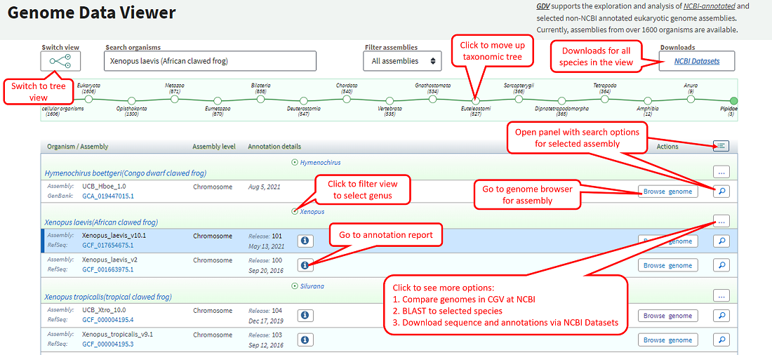 Genome Data Viewer - NCBI