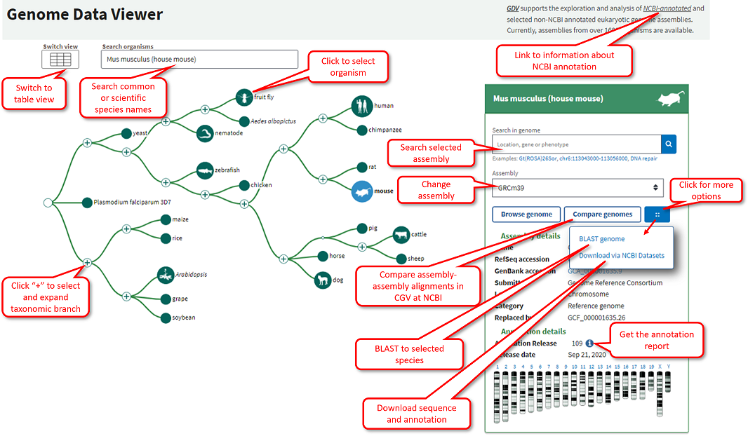 https://www.ncbi.nlm.nih.gov/core/assets/gdv/images/GDV_tree_view-2022.png