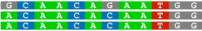 nucleic acid color