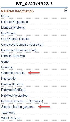 Image of links available in the related information section of the GenPept display of non-redundant RefSeq protein WP_013315922.1.