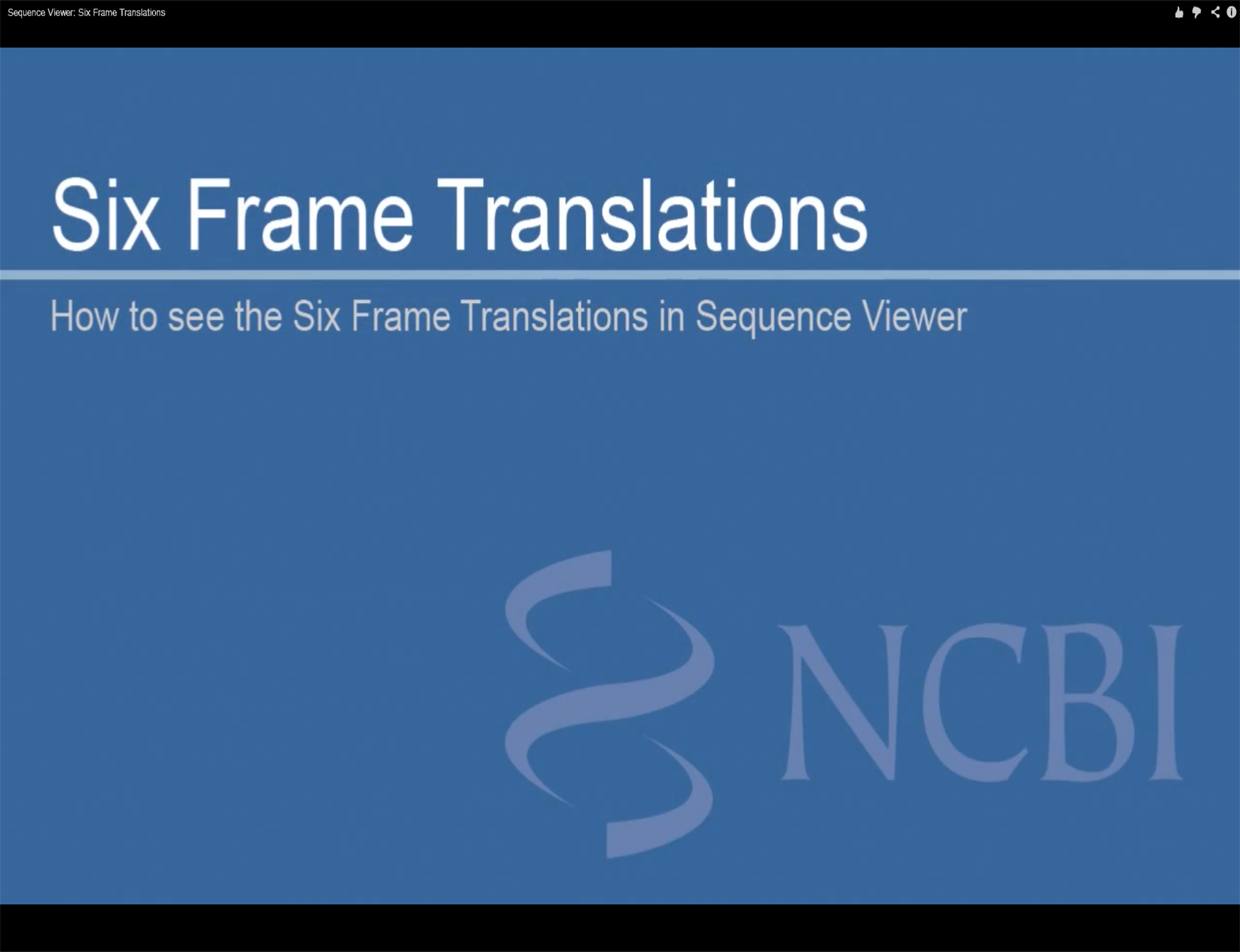 Six Frame Translations