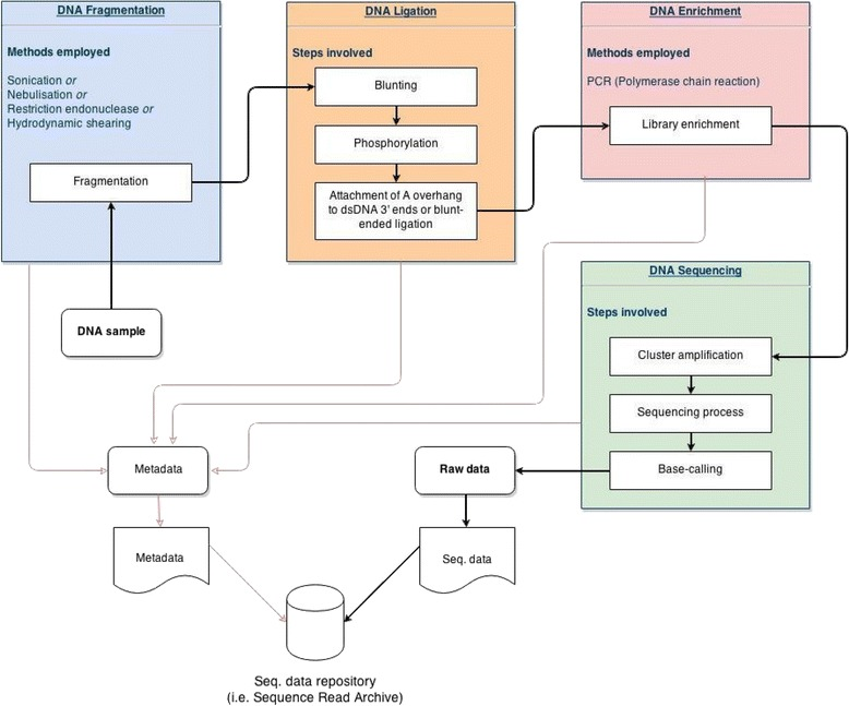 2017-09-18-next-generation-sequencing-workflow.png