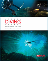Cover of DAN Annual Diving Report 2012-2015 Edition