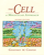 The Cell: A Molecular Approach. 2nd edition.