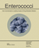Enterococci: From Commensals to Leading Causes of Drug Resistant Infection [Internet].