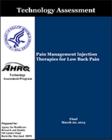 Cover of Pain Management Injection Therapies for Low Back Pain