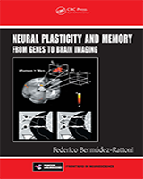 Cover of Neural Plasticity and Memory