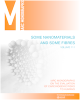 Cover of Some Nanomaterials and Some Fibres