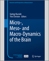 Cover of Micro-, Meso- and Macro-Dynamics of the Brain