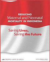 Cover of Reducing Maternal and Neonatal Mortality in Indonesia