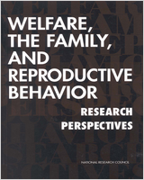 Cover of Welfare, The Family, And Reproductive Behavior