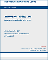 Cover of Stroke Rehabilitation