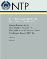 Cover of NTP Technical Report on the Toxicity Studies of Abrasive Blasting Agents Administered by Inhalation to F344/NTac Rats and Sprague Dawley (Hsd:Sprague Dawley® SD®) Rats