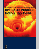 Cover of Optically Induced Nanostructures