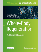 Cover of Whole-Body Regeneration