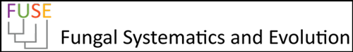 Logo of fuse