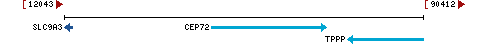 Genomic Context describing neighboring genes