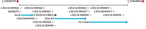 Genomic Context describing neighboring genes